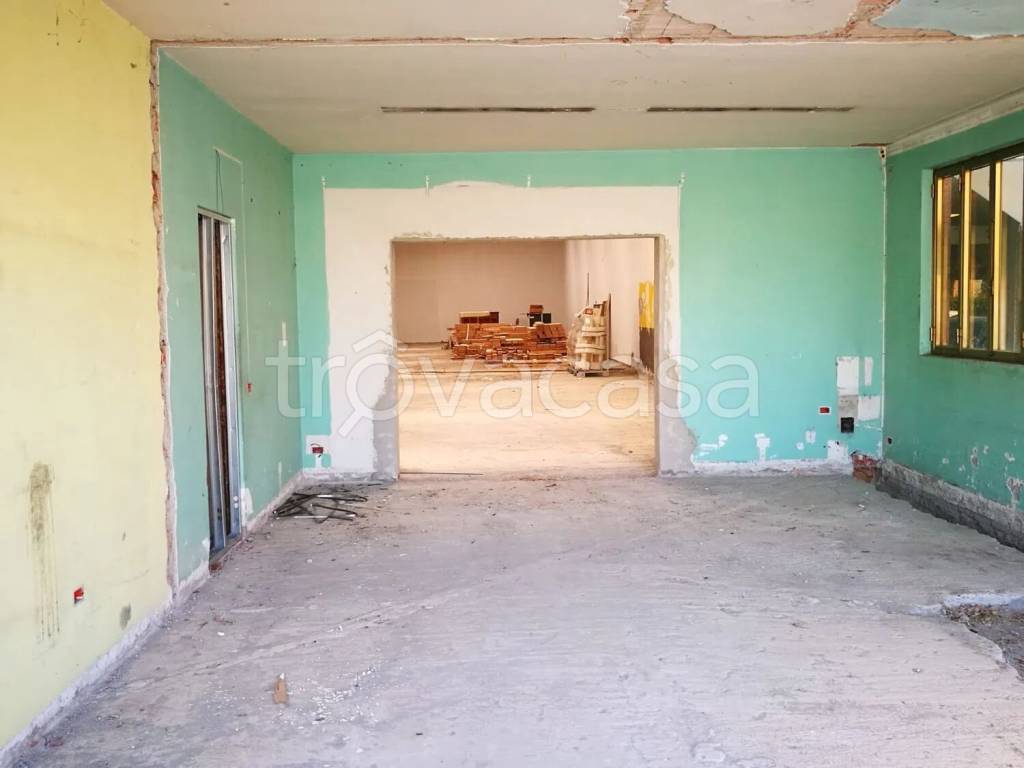 immagine annuncio 2 di 3