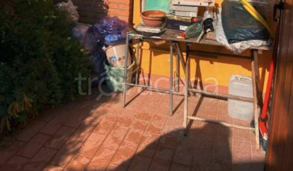 immagine annuncio 7 di 12