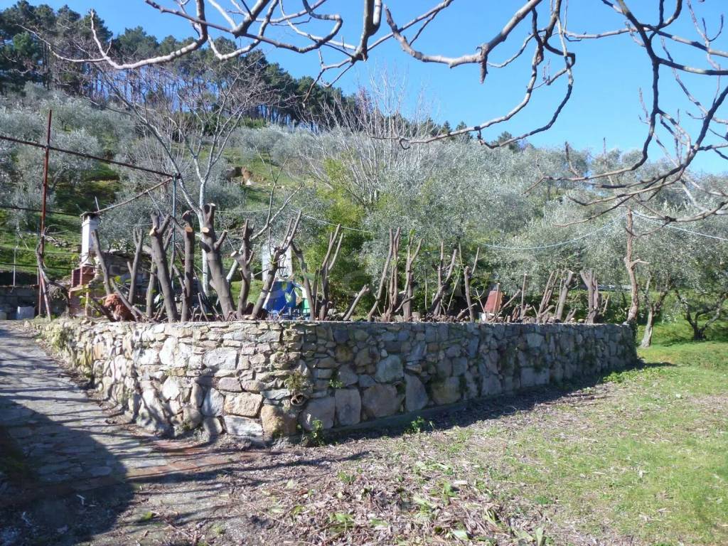 immagine annuncio 6 di 11