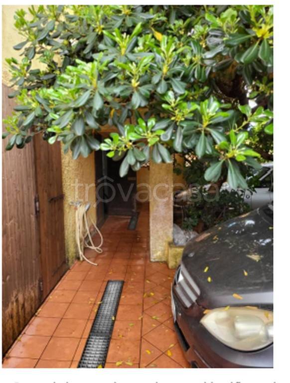 immagine annuncio 1 di 14