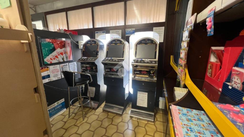 immagine annuncio 1 di 14