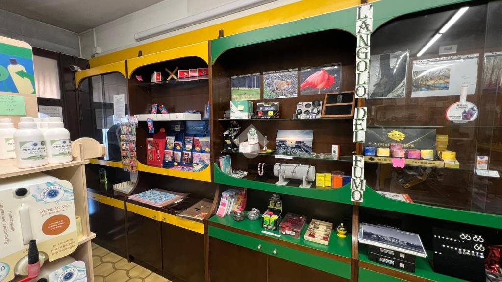 immagine annuncio 2 di 14