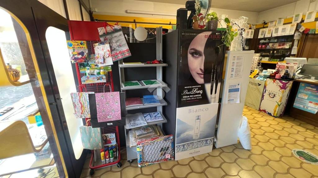 immagine annuncio 4 di 14