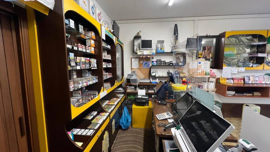 immagine annuncio 5 di 14