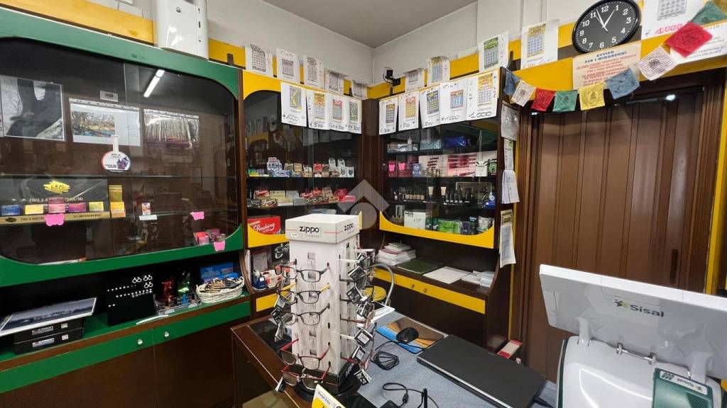 immagine annuncio 6 di 14