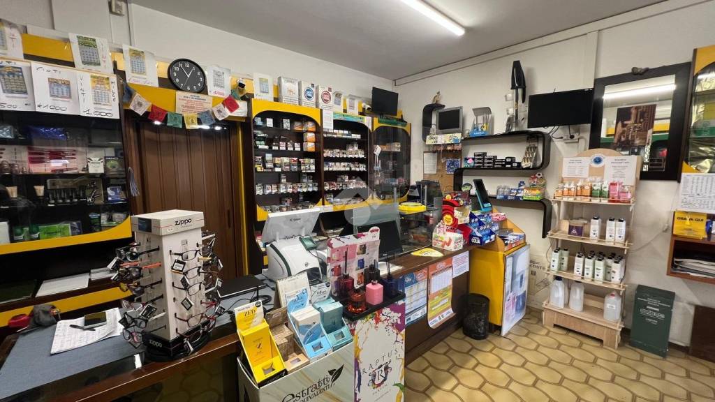 immagine annuncio 9 di 14