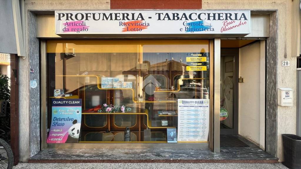 immagine annuncio 10 di 14