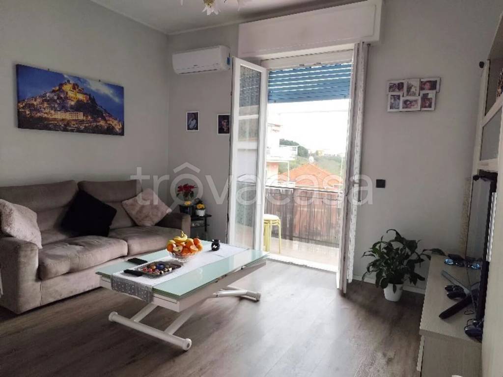 immagine annuncio 2 di 12