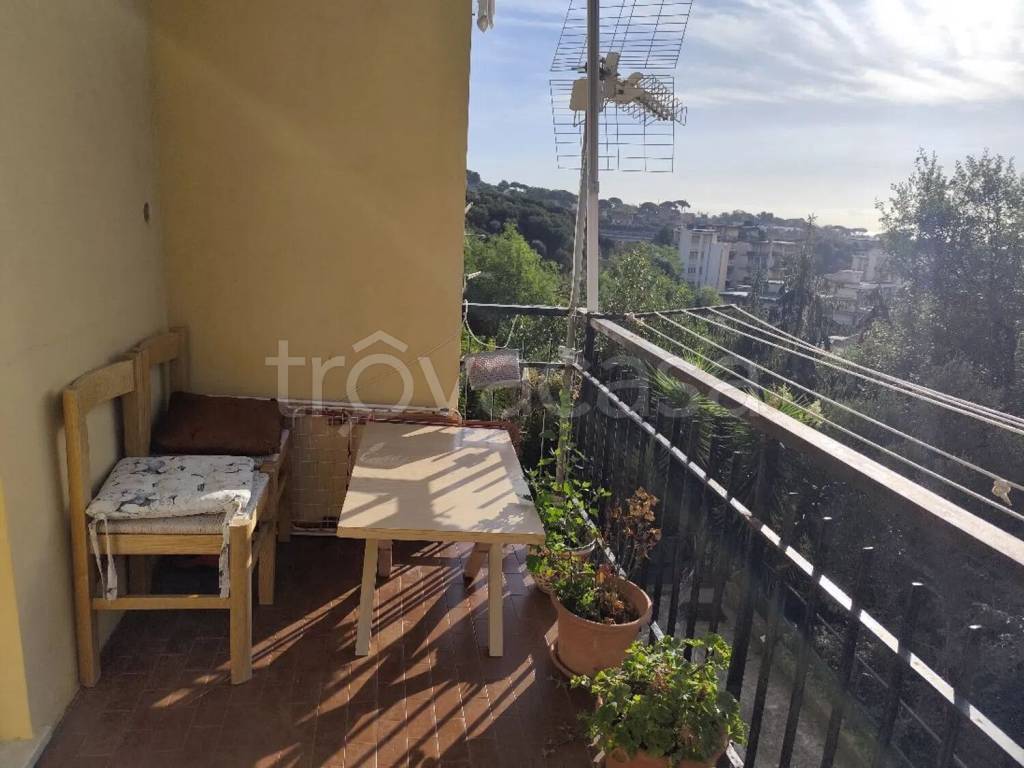 immagine annuncio 2 di 14