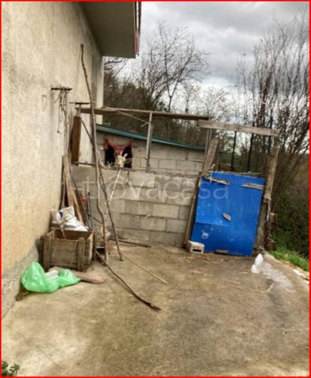 immagine annuncio 4 di 12