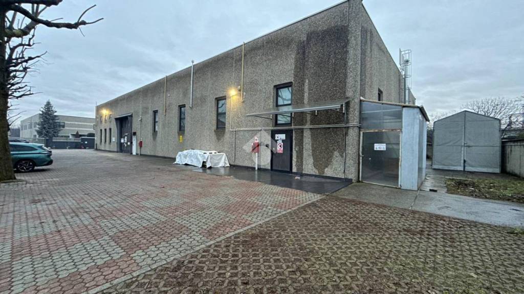 immagine annuncio 3 di 15