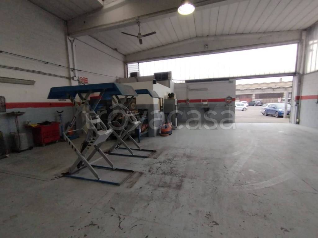 immagine annuncio 4 di 15