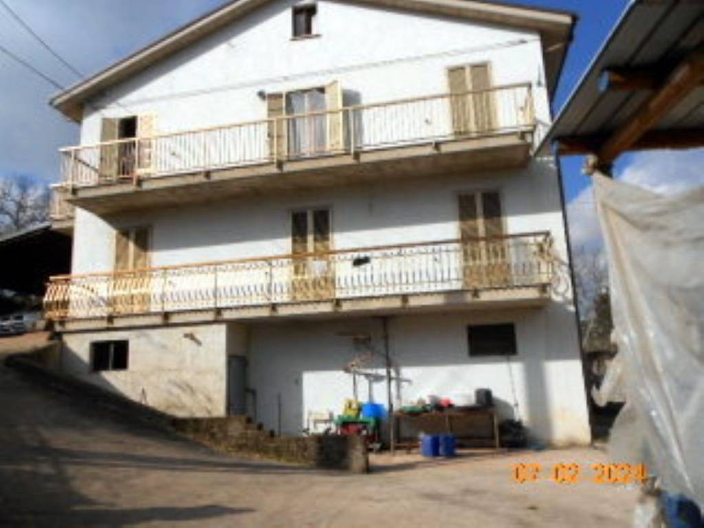 immagine annuncio 3 di 13