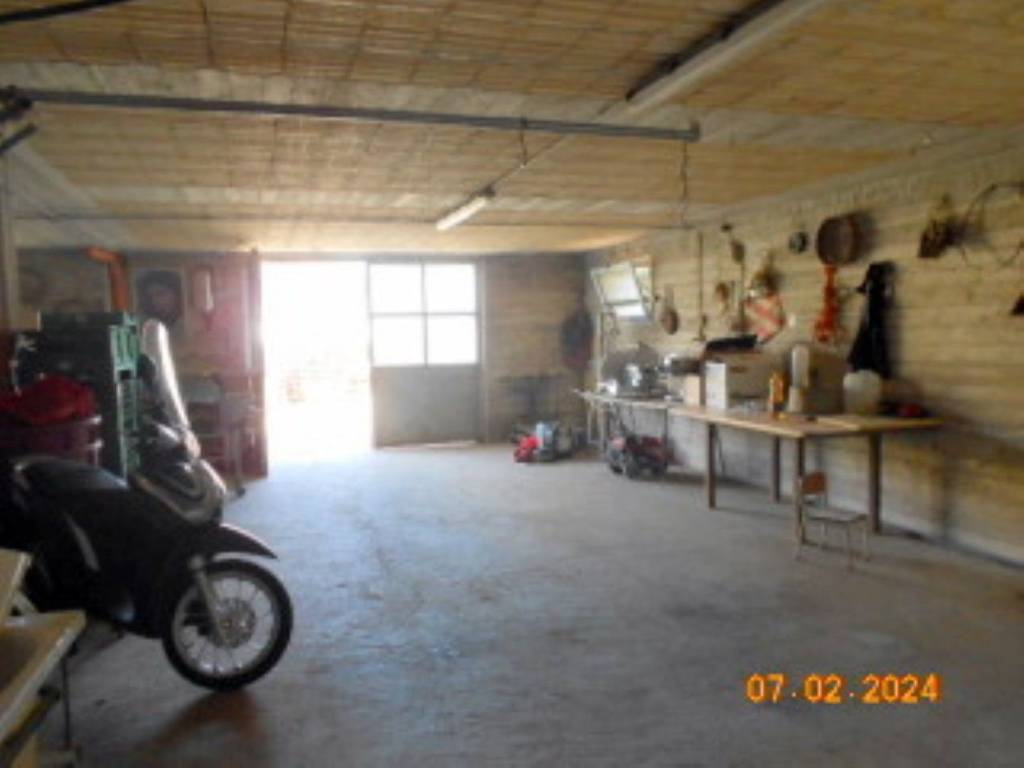 immagine annuncio 5 di 13