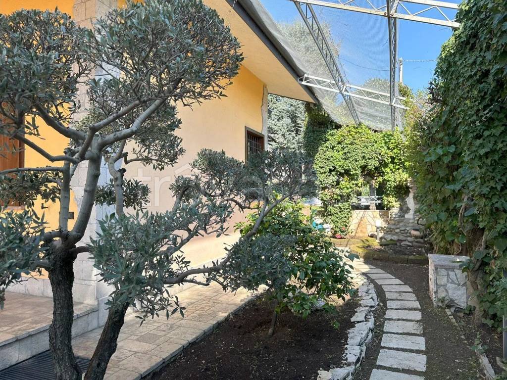 immagine annuncio 4 di 15