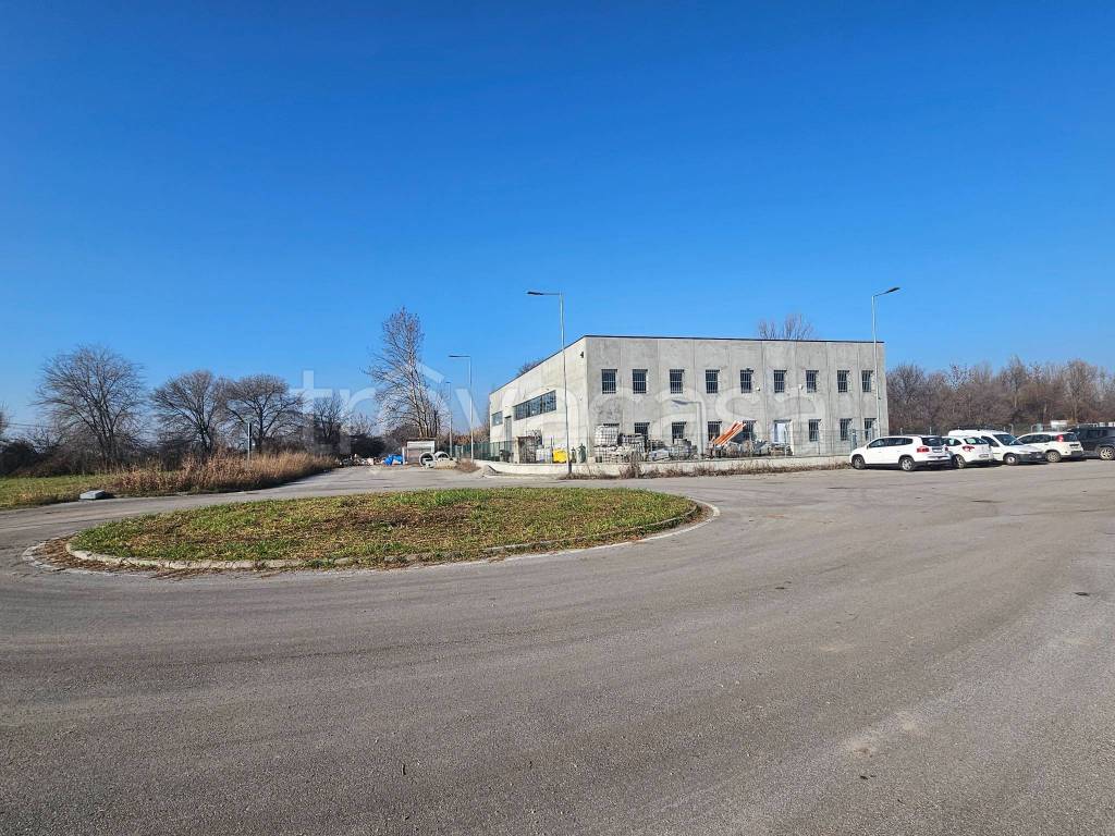 immagine annuncio 13 di 15