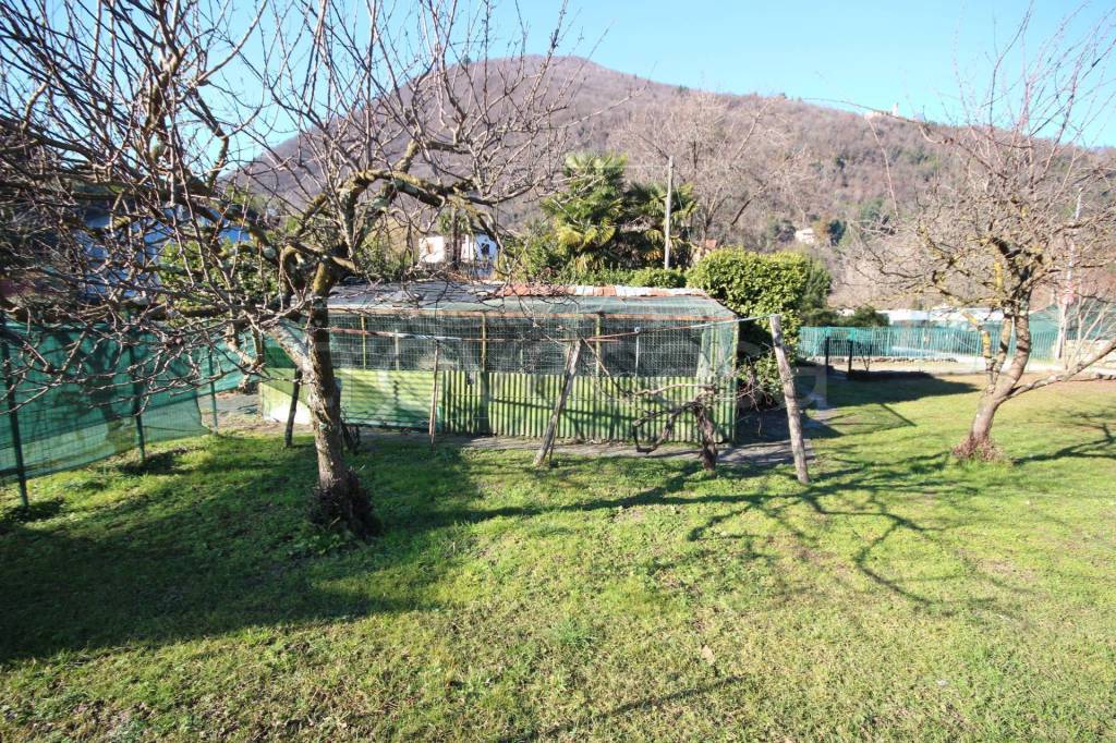 immagine annuncio 5 di 10