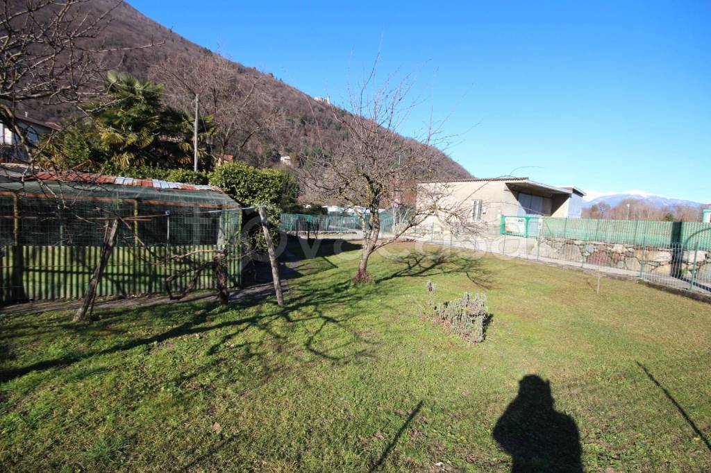 immagine annuncio 7 di 10