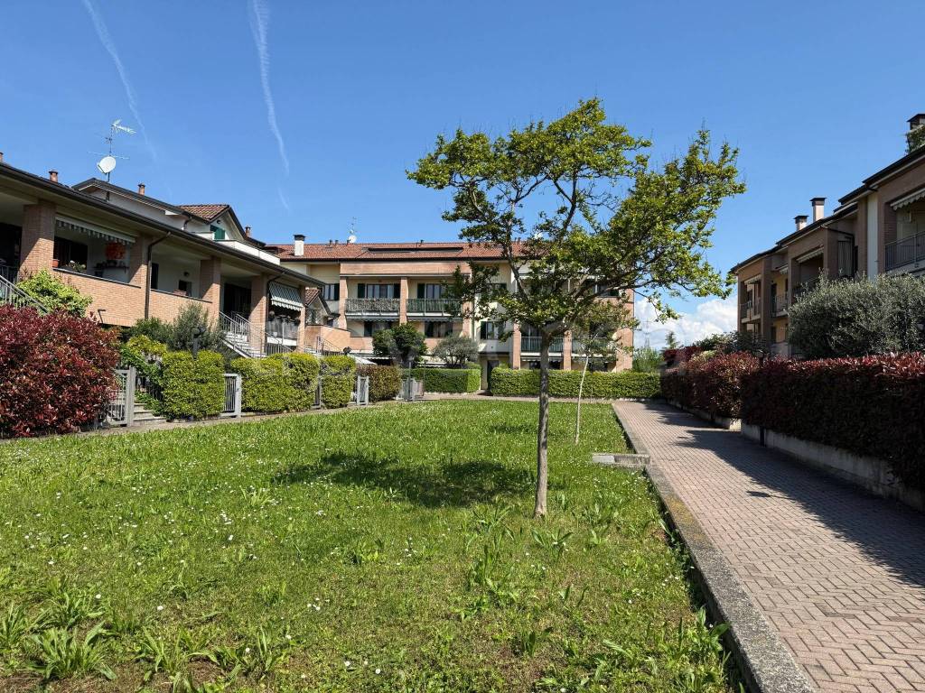 immagine annuncio 1 di 15