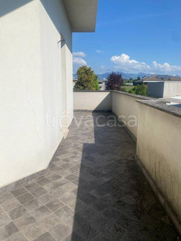 immagine annuncio 2 di 12