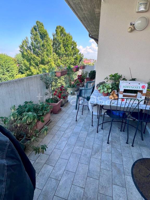 immagine annuncio 7 di 13