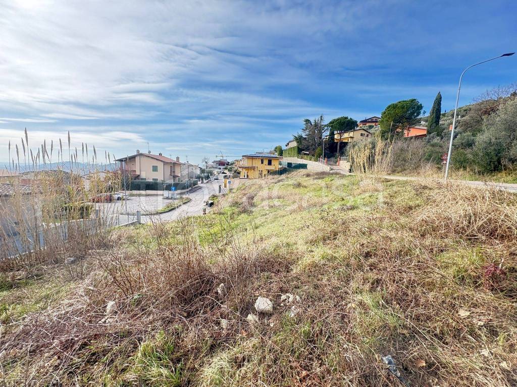 immagine annuncio 5 di 14