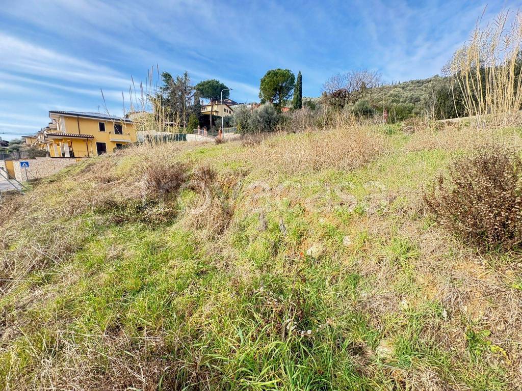 immagine annuncio 6 di 14