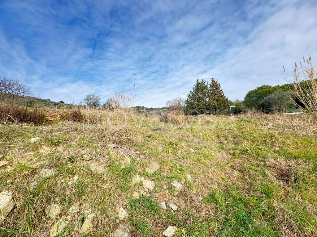 immagine annuncio 11 di 14