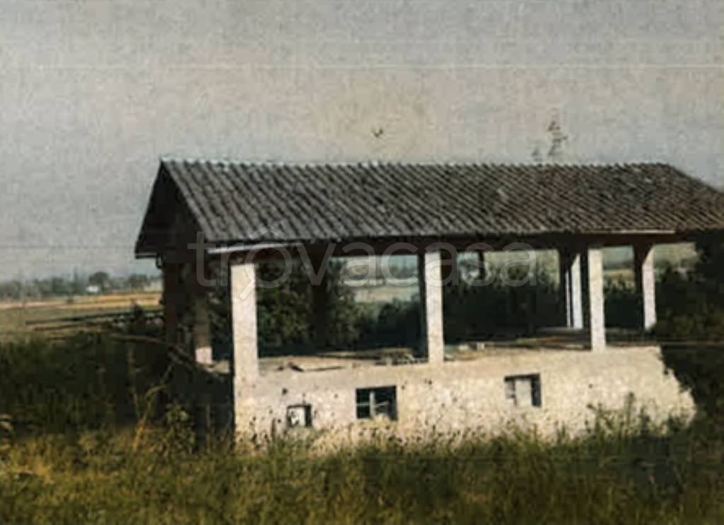 immagine annuncio 4 di 11