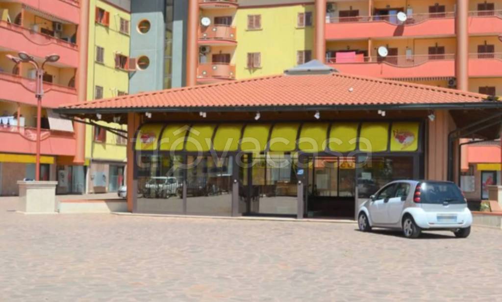 immagine annuncio 9 di 10