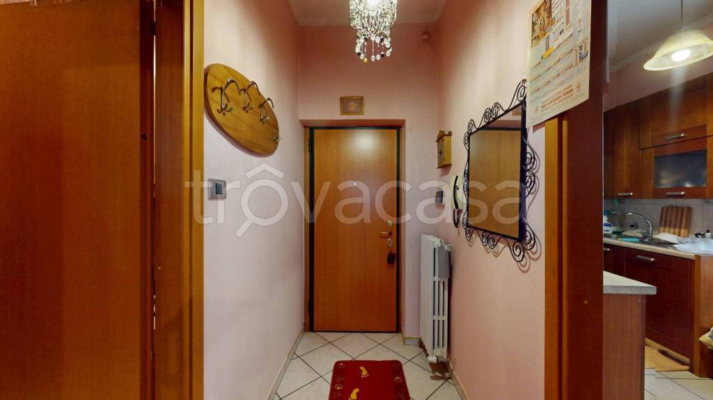 immagine annuncio 5 di 14