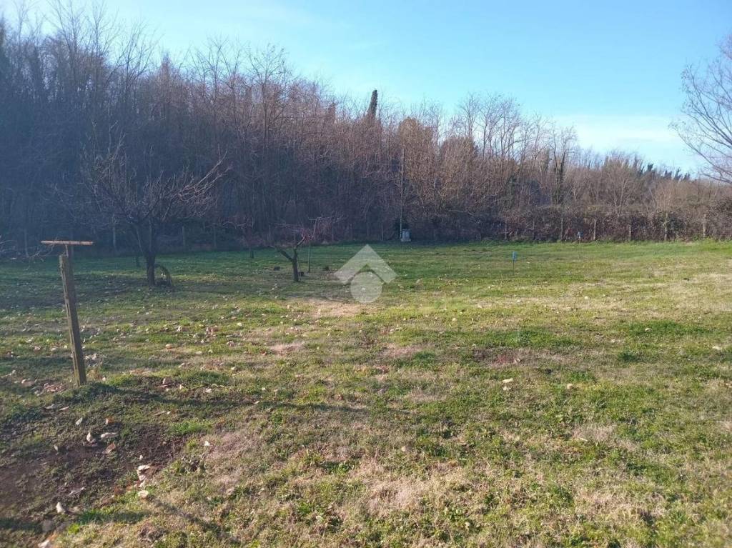 immagine annuncio 5 di 13