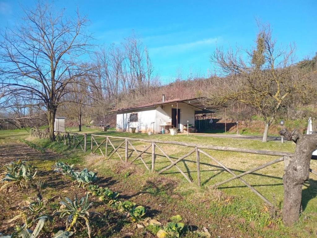 immagine annuncio 6 di 13