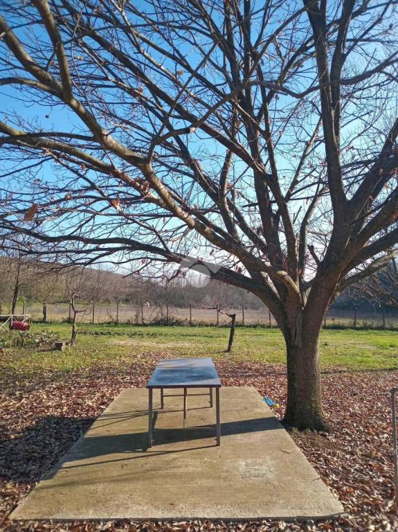 immagine annuncio 7 di 13