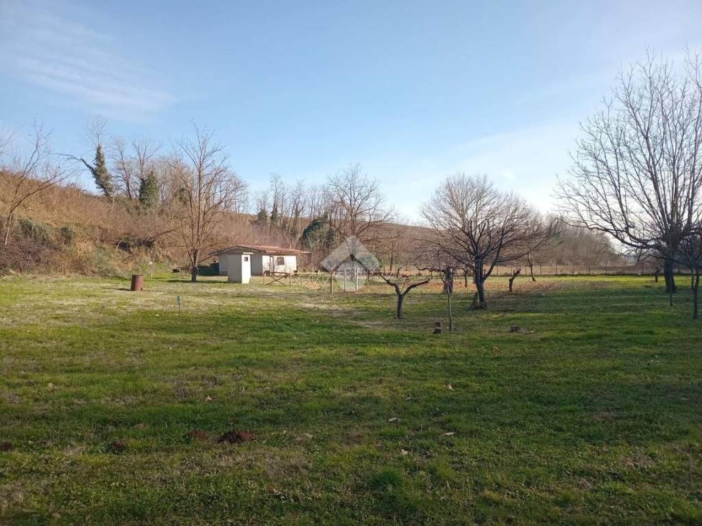 immagine annuncio 9 di 13