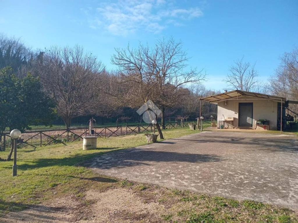 immagine annuncio 10 di 13