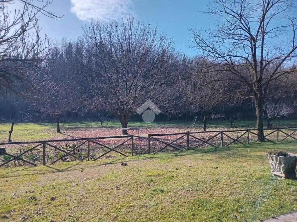 immagine annuncio 11 di 13