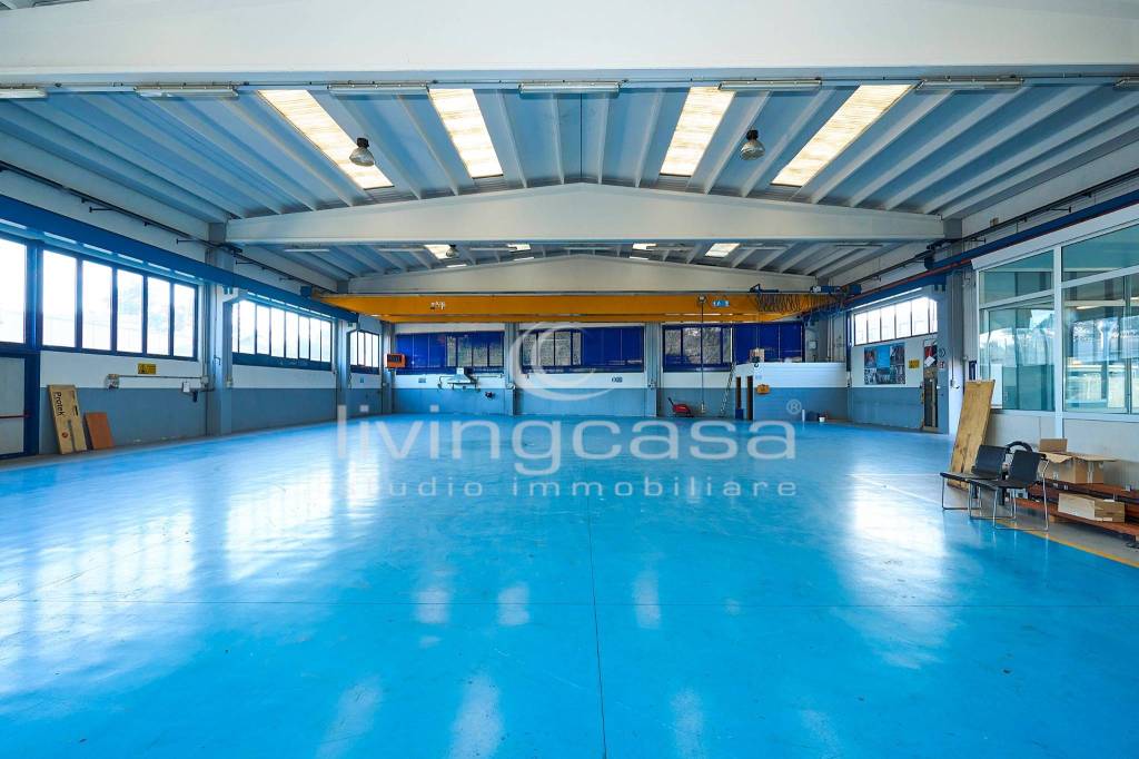 immagine annuncio 7 di 15