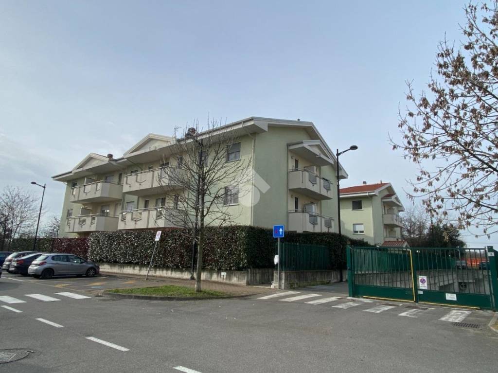 immagine annuncio 1 di 10