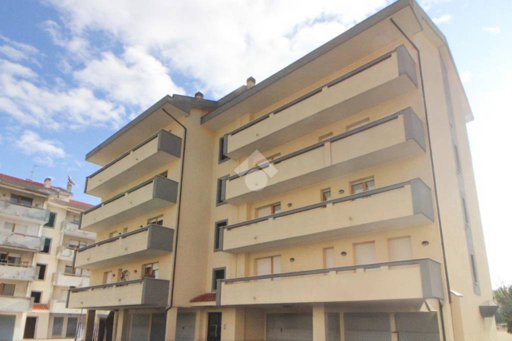 immagine annuncio 12 di 13