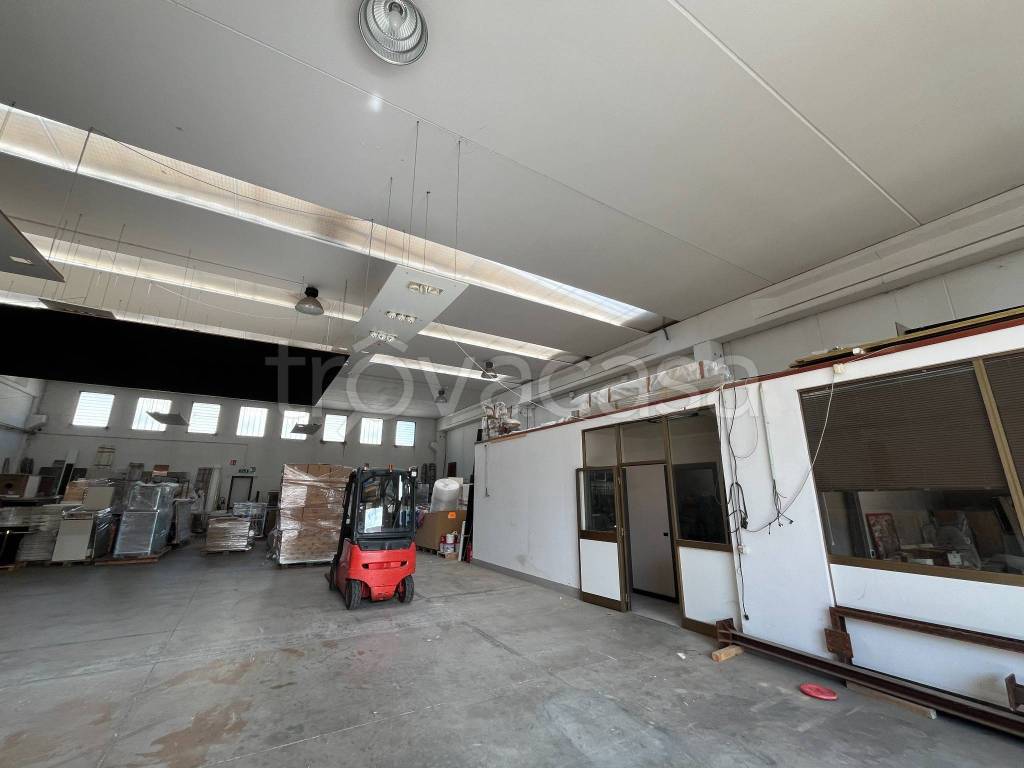 immagine annuncio 12 di 13