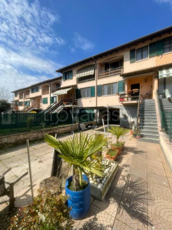 immagine annuncio 1 di 15