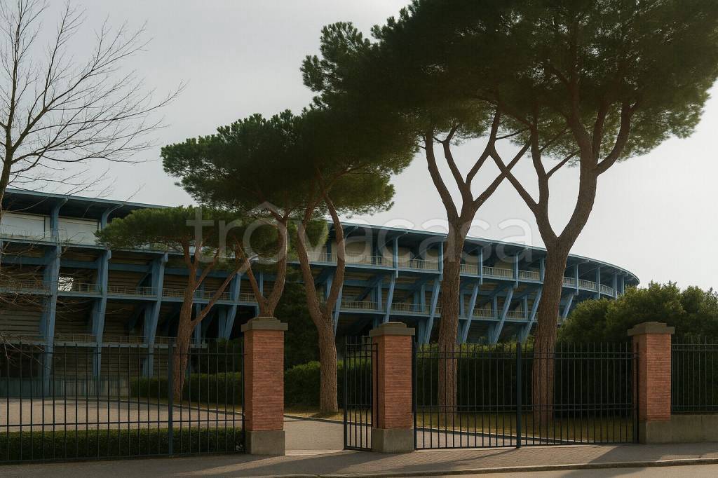 immagine annuncio 5 di 8