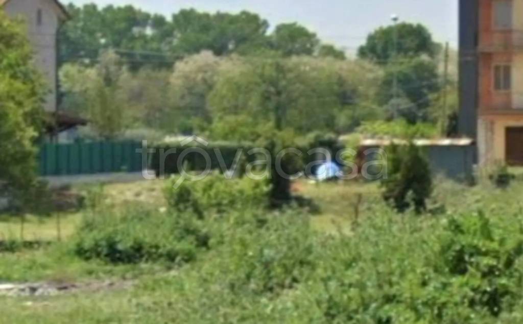 immagine annuncio 2 di 11