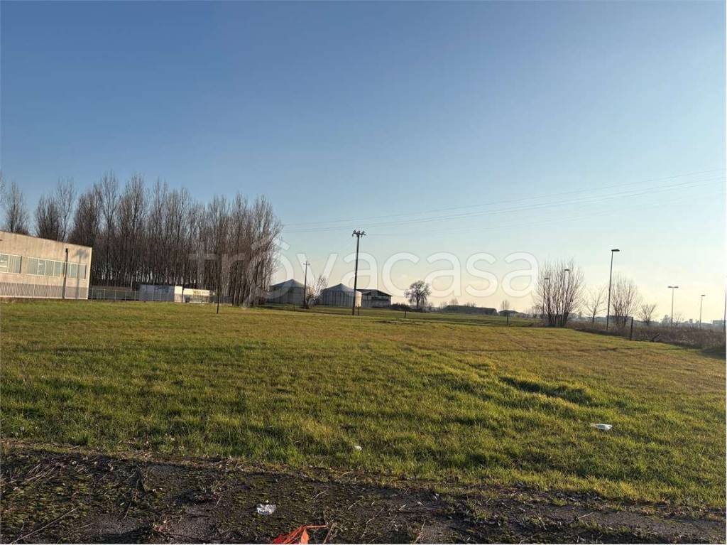 immagine annuncio 3 di 4