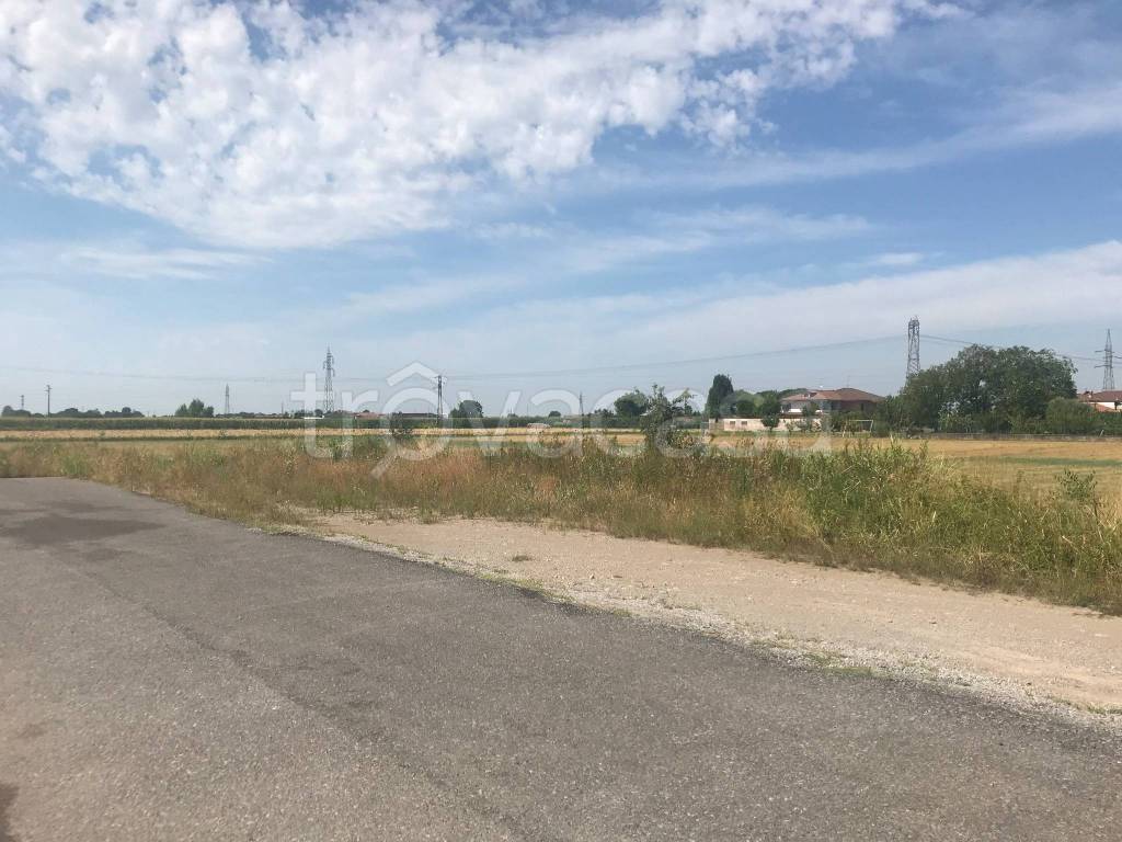 immagine annuncio 3 di 12