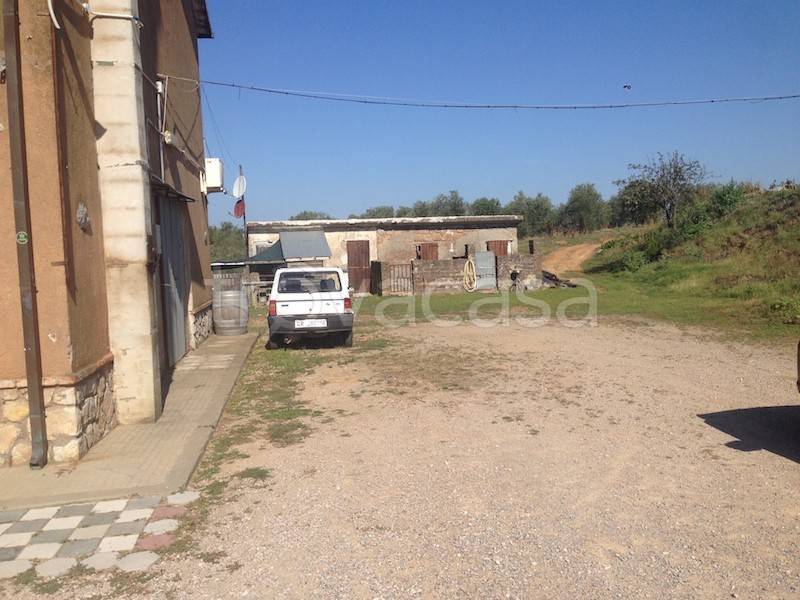 immagine annuncio 3 di 13