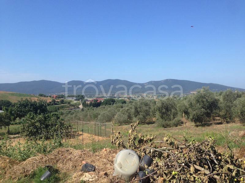 immagine annuncio 6 di 13