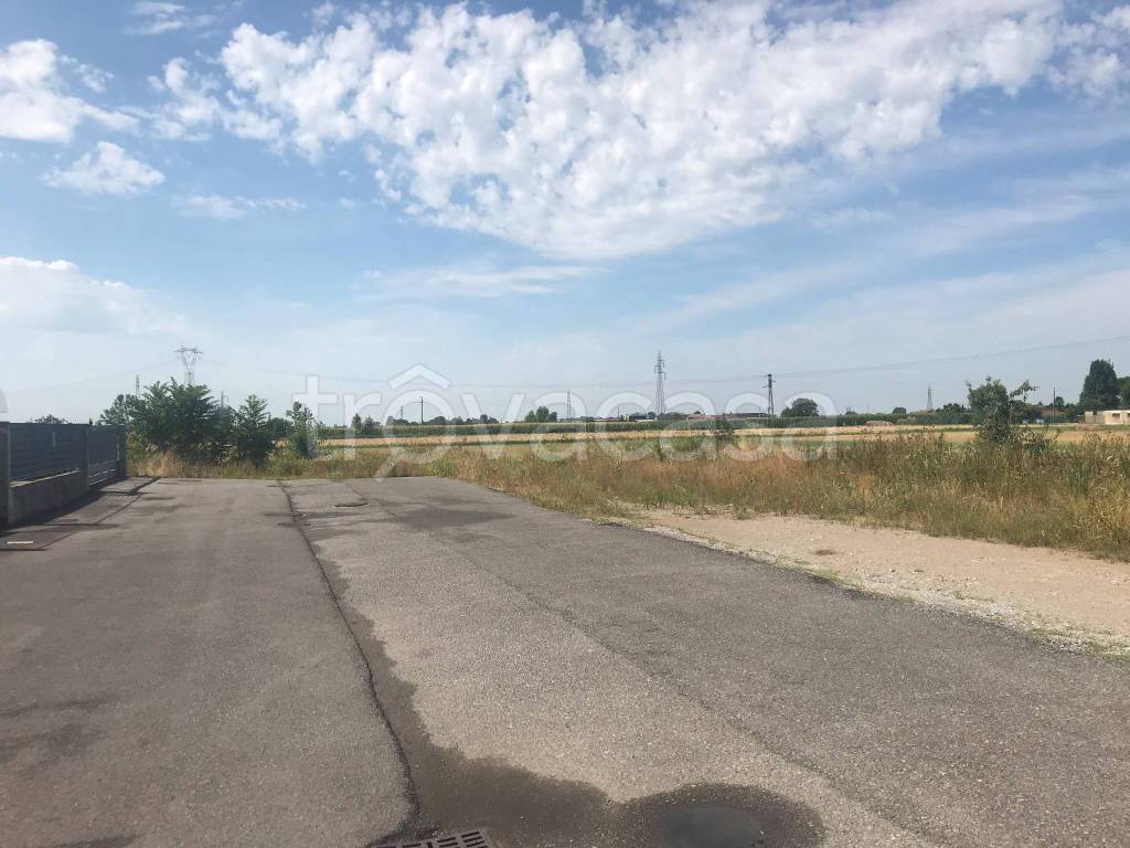 immagine annuncio 5 di 12