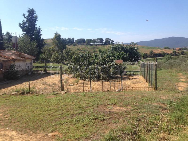 immagine annuncio 9 di 13